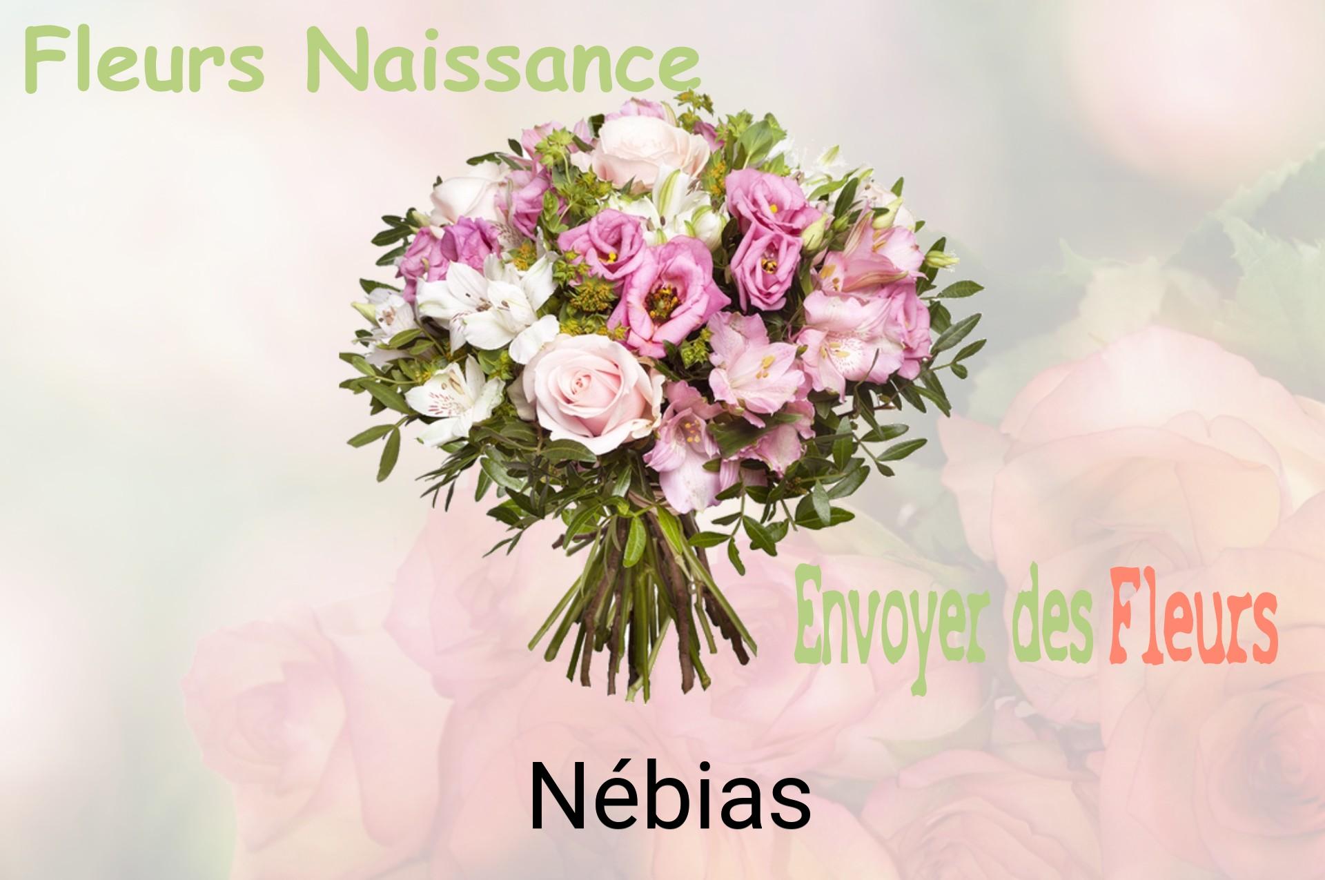 Bouquet de fleurs de naissance livré à Nébias