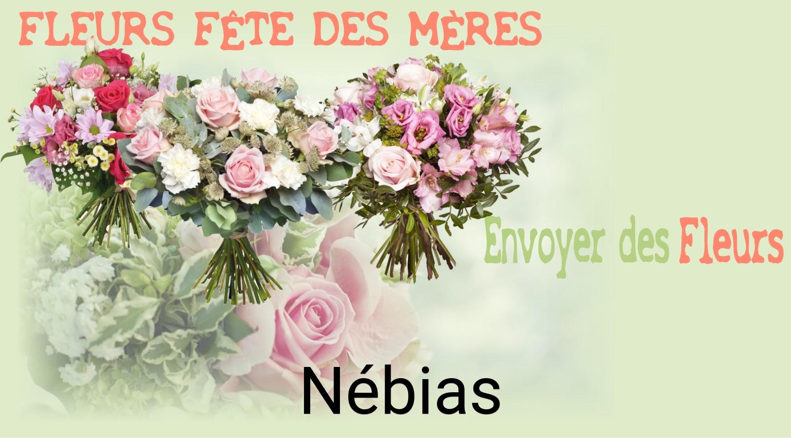 Bouquet de Fête des Mères livré à Nébias